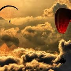 Flightless Bird American Mouth Cover ( Ft. Dominique McClenaghan)