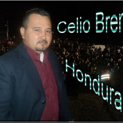 Celio Brenis EL DILUVIO
