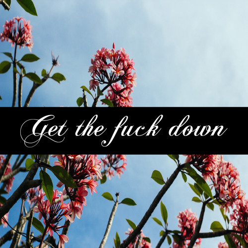GTFD