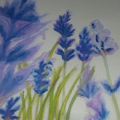 A Dream Is a Wish-Cinderella (uke)