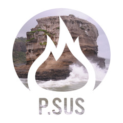 P.SUS - All Over Again (My Bootleg)