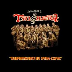 Banda Triguera - Despertando En Otra Cama EPICENTER By TAK3CHY