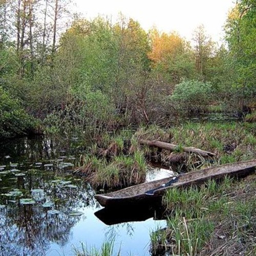 Голоса Птиц и Шум Ветра