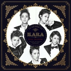 Kara-Runaway(cover)
