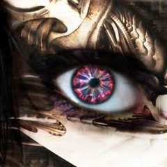 Gui Borrato- This Is Not The End