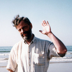 Raimo Kangro - Display IV: Tundmatu muusiku portree (1992)