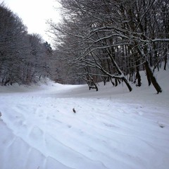 Aschenbrödel Thema (Heavy Metal-Interpretation)