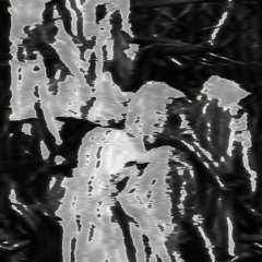 Disharmony Street Prospect (disquiet0110-wsb100)