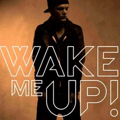 Dj FaTRiX & Avicii - Wake Me Up 2014