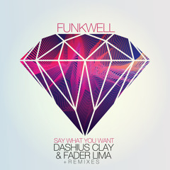 Funkwell feat. Dashius Clay & Fader Lima - Say What You Want (Discotek Remix)