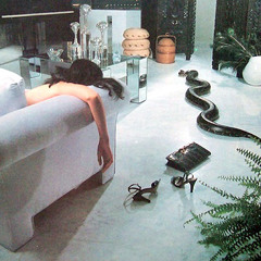 February 2014 | T R O P I C A L F A N T A S I E S