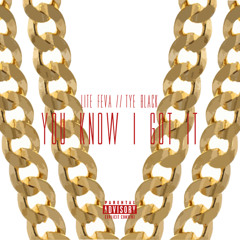 YOU KNOW I GOT IT - LITE FEVA & TYE BLACK