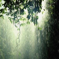 Regn