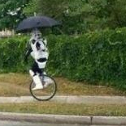 A Dream (life or death decision mix)