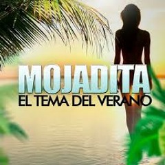 (101 - 120 - 132) Mojadita (Intro) - [[ Ðj Pedro ]] - [Out Tribal]