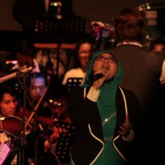 i don't wanna miss a thing_indiyah budi & violet orchestra