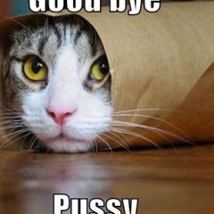 GoodbyePUSSYcat