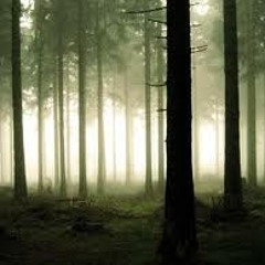 The Forgotten Harp - Maria Linnemann