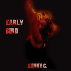 EARLY BIRD (TribalTech House Mix)