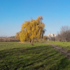 Билет 33 — Театр жизни