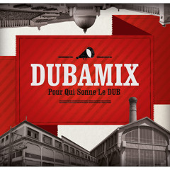 DUBAMIX - Le monde bouge Remix feat. Joke