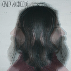 Between Mockingbirds Album
