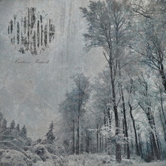 Cartoon Sirawit - ชีวิตคนหนึ่ง