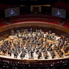 Differences ( Excerpt. Bulgarian National Radio Symphony)