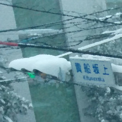 Snowed In