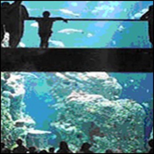 monaco jam--fisher talk