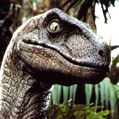 Battle Raptors(Subcon, Praying Mantis, Killer Falcon, Honour)(Prod. by Subcon)*cuts by DJ Coach One*