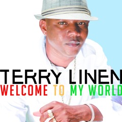 Terry Linen - As If I Didn't Know (Welcome To My World) February 2014