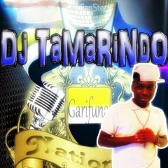 DJTAMARINDO YUDEI PAPADY FT GATOTE FT EDG..