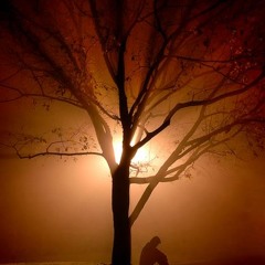 shaman paiyan tere bina by atif aslam