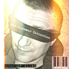 ignorant bliss  Instrumental