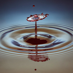 Double Drop..."Free Download"
