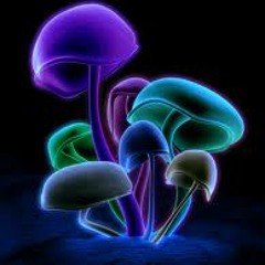 Psychedelic Funk - Chris Travis (Chopped & Screwed by DJ ICE 666)