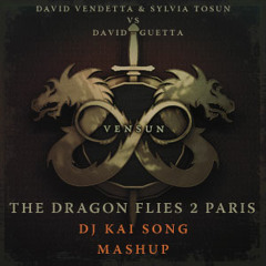 VenSun (David Vendetta, Sylvia Tosun) vs David Guetta - The Dragon Flies 2 Paris (Kai Song Mashup)
