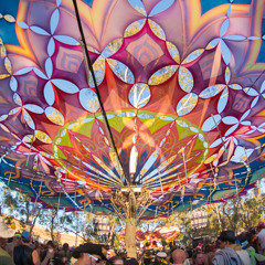 Rainbow Serpent Daydreaming 2014