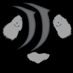 DNT and DJ Pandu - Branca (WIP)