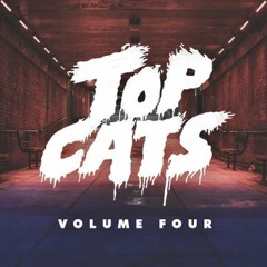 Namaste Top Cats Vol. 4