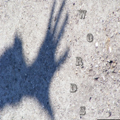 Don't Twist My Words (Explicit) ft. pNATION [Produced by Dan Marc]