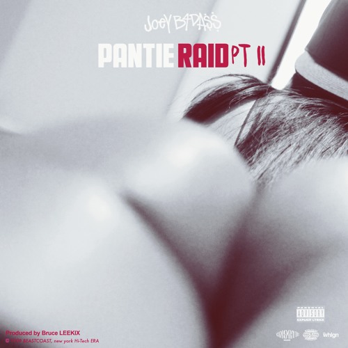 Joey Bada$$ - Pantie Raid Pt. II (Prod. Bruce Leekix) by PRO ERA RADIO.
