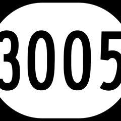 3005 Remix