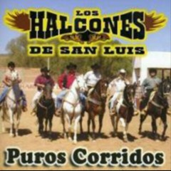 09 - HALCONES DE SAN LUIS - NO SE QUE TENGO EN LOS OJOS.mp3