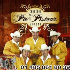 Los Caciques de San Luis Potosi-Mi Cumpleaños.mov.mp3