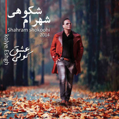 Shahram Shokoohi - Shab O Baroon