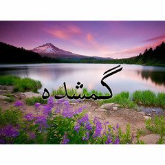 Missing   گمشده