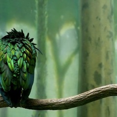 Rufus T    Play It Again  Original Mix