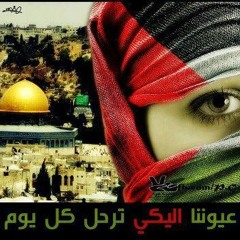 فلسطين ستصبح حرة ... ماهر زين ^^